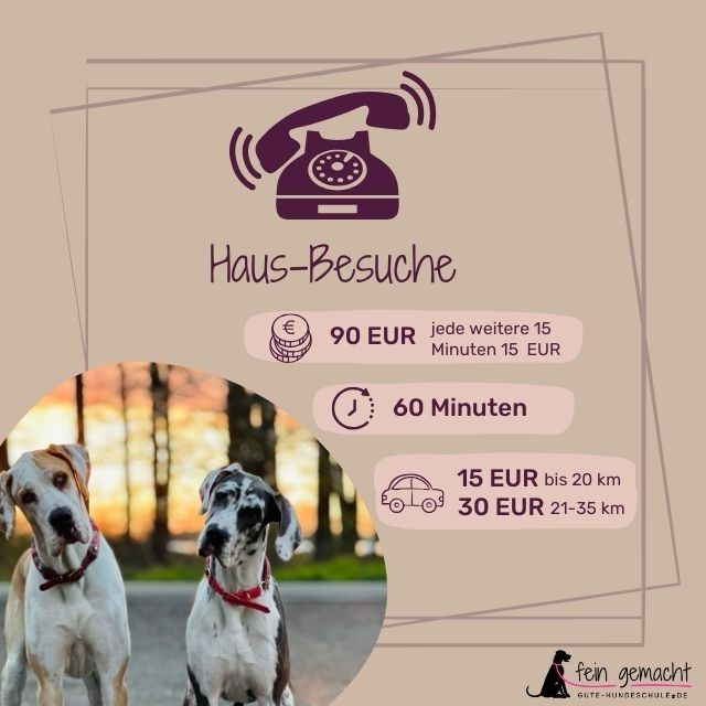 Haus-Besuche