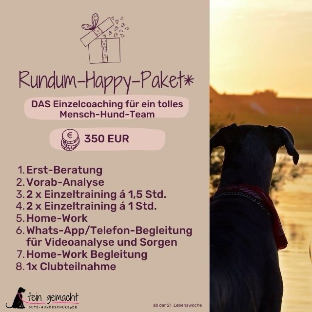 Rundum-Happy-Paket