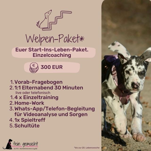 Welpen-Paket